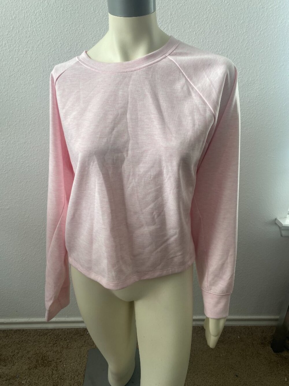 Express Long Sleeve Top Shirt Women Size L Pink Crew Neck Pullover NWT